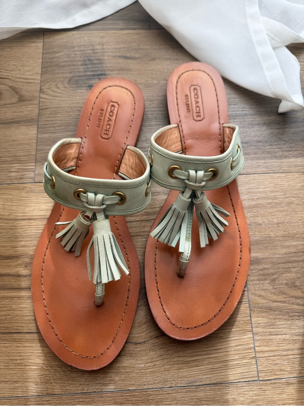 Coach Women's Teal/Green Tassel Leather Thong Sandals with Tan Footbed